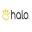 halocollarreviews10